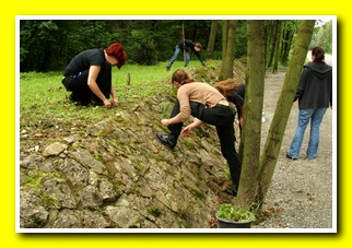 Vergrern durch Linksklick!
