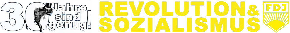 30 Jahre Kampagne - Logo